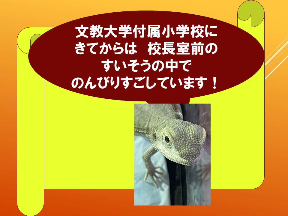 【　いきものパラダイスIN　BUNKYO】 (20).PNG