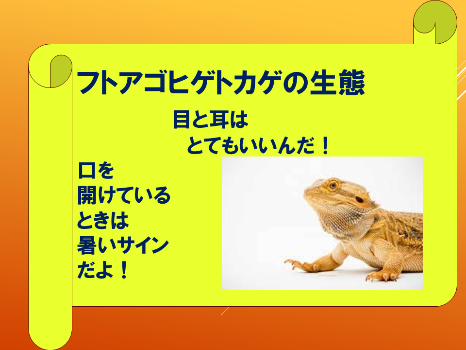 【　いきものパラダイスIN　BUNKYO】 (22).PNG