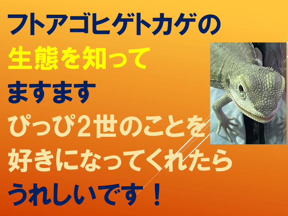 【　いきものパラダイスIN　BUNKYO】 (23).PNG