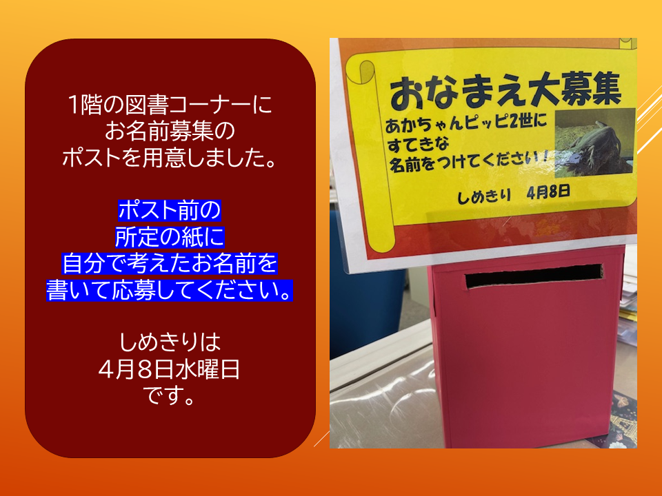 【　いきものパラダイスIN　BUNKYO】 (26).PNG