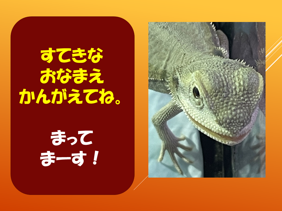 【　いきものパラダイスIN　BUNKYO】 (27).PNG