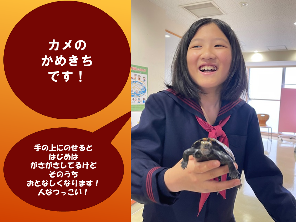 【　いきものパラダイスIN　BUNKYO】 (30).PNG