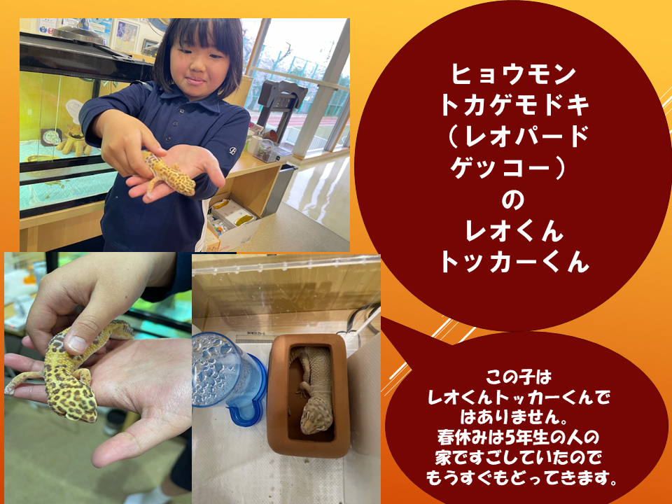 【令和８年度０４０６　いきものパラダイスIN　BUNKYO】 (5).PNG