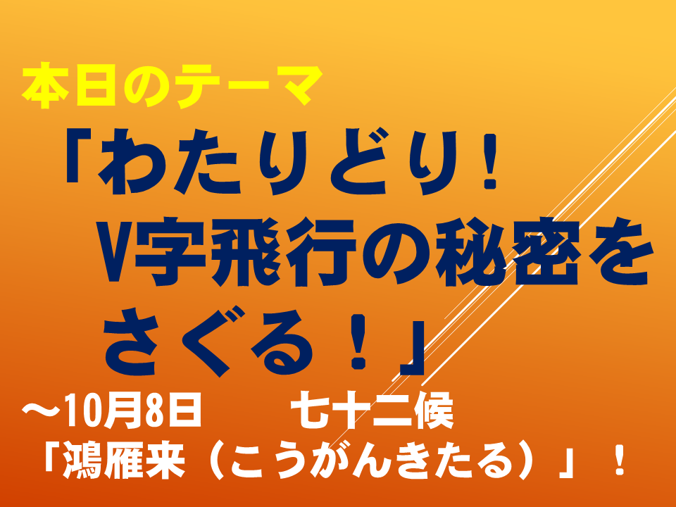 「わたりどり!V字飛行の秘密をさぐる！」 ～10月8日　　七十二候「鴻雁来（こうがんきたる）」！