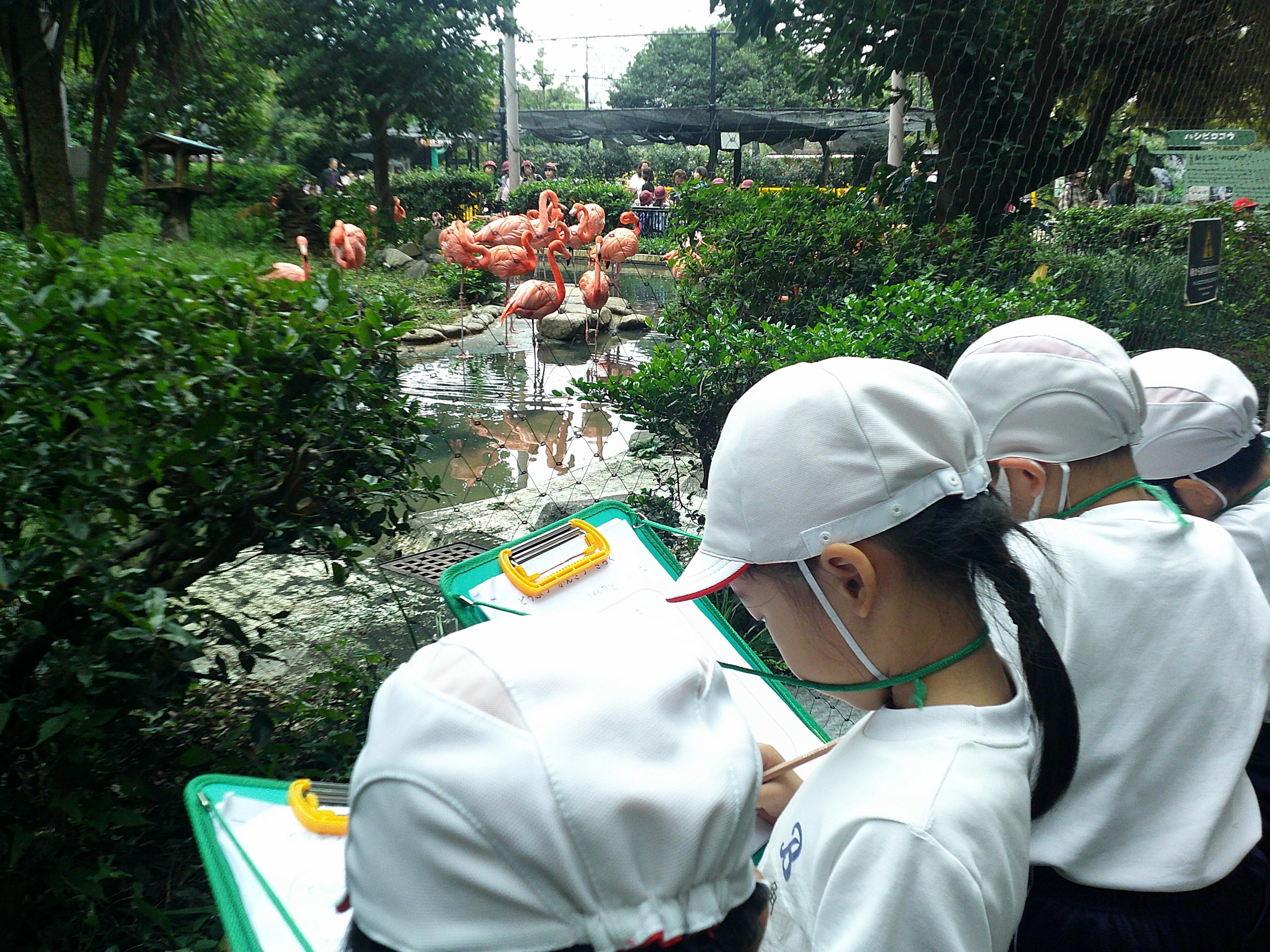 1年生生活科見学