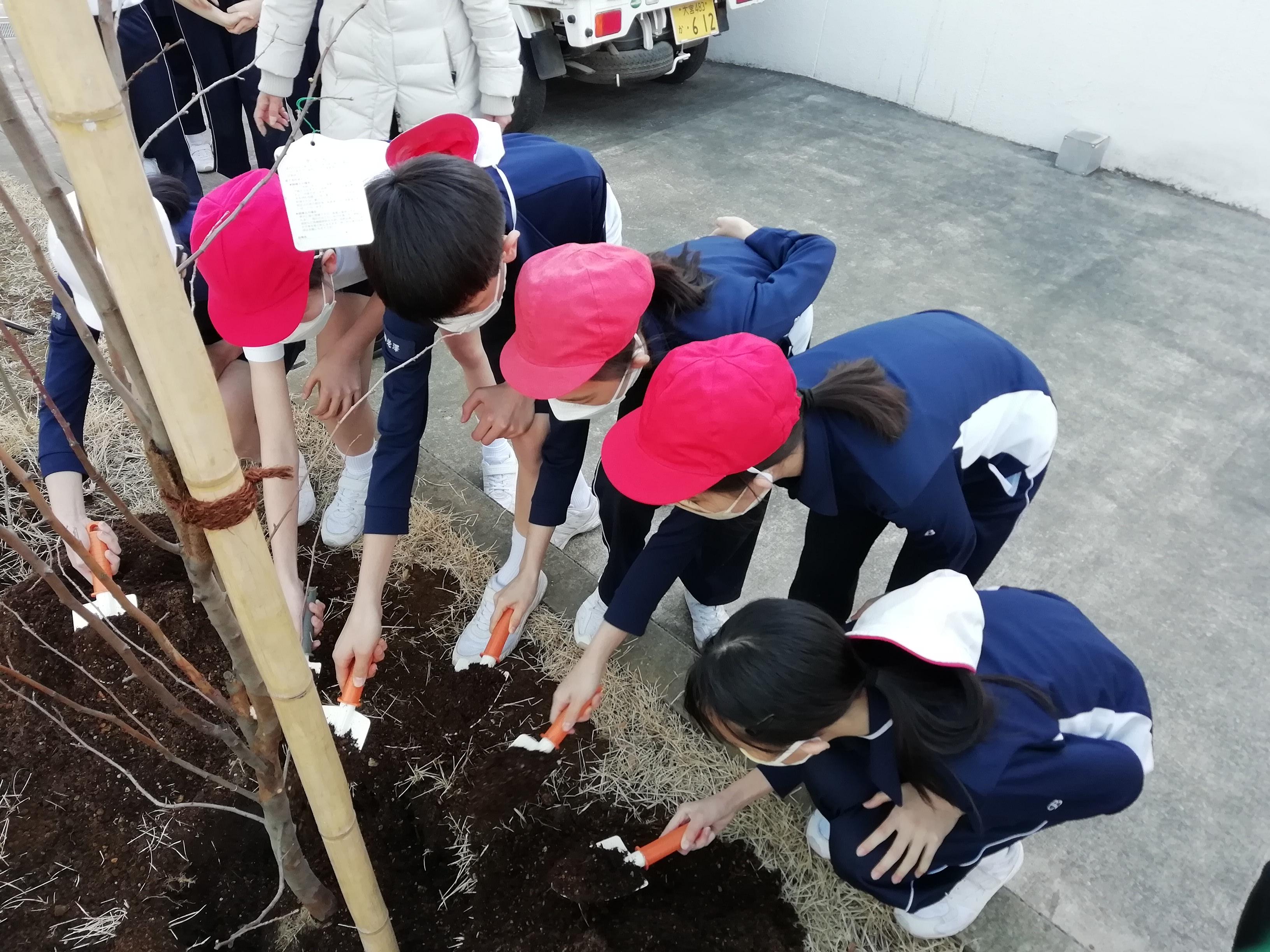 6年生　卒業記念植樹