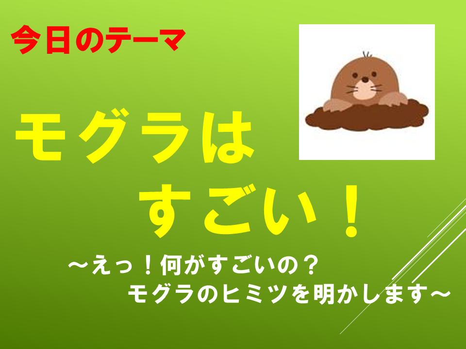 モグラはすごい！～えっ！何がすごいの？モグラのヒミツを明かします～