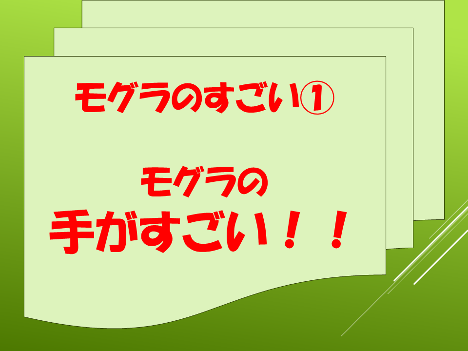 260511モグラはすごい (11).PNG