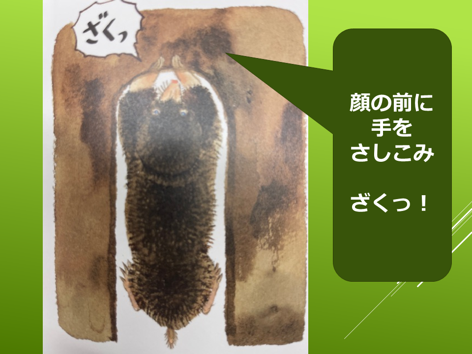 260511モグラはすごい (14).PNG