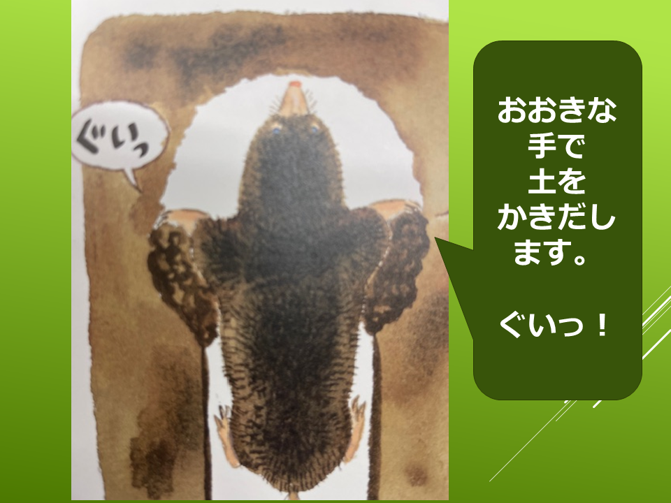 260511モグラはすごい (15).PNG