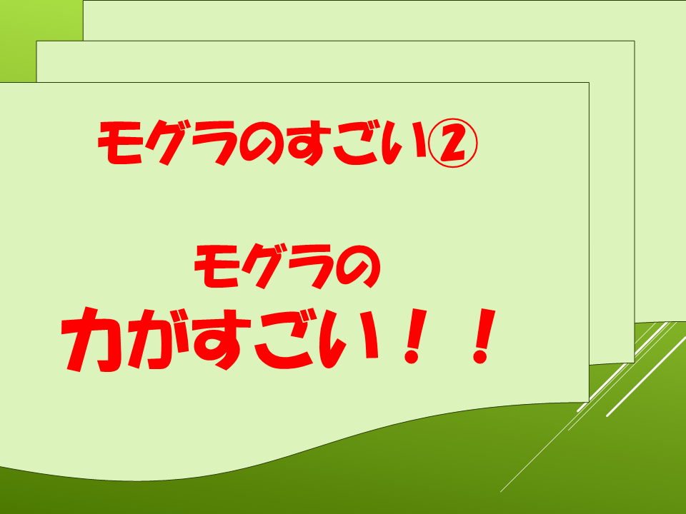 260511モグラはすごい (18).PNG