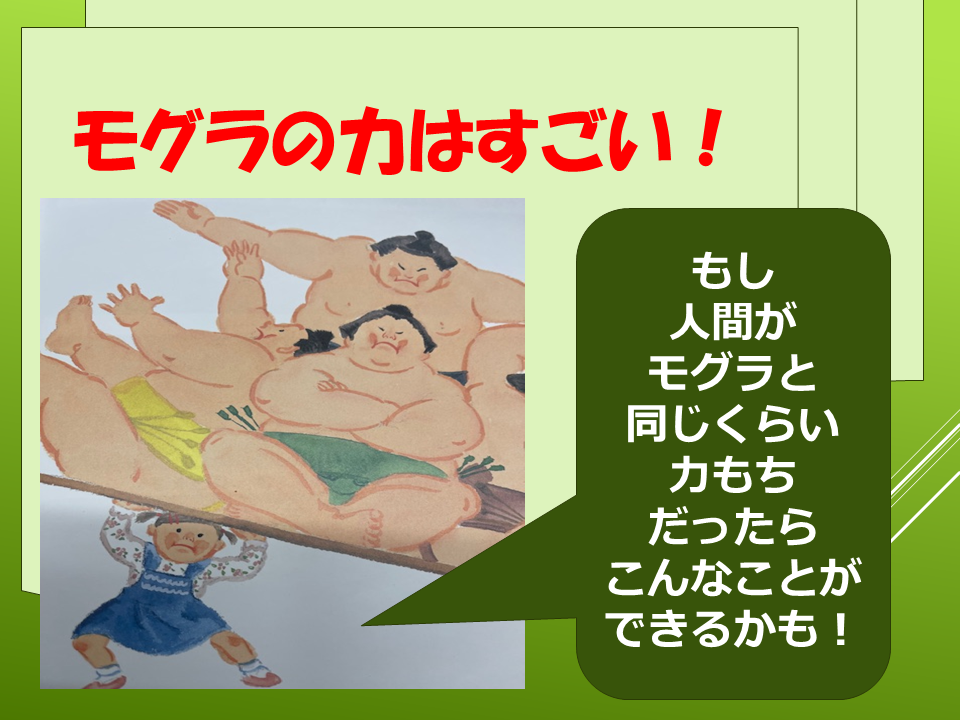 260511モグラはすごい (22).PNG