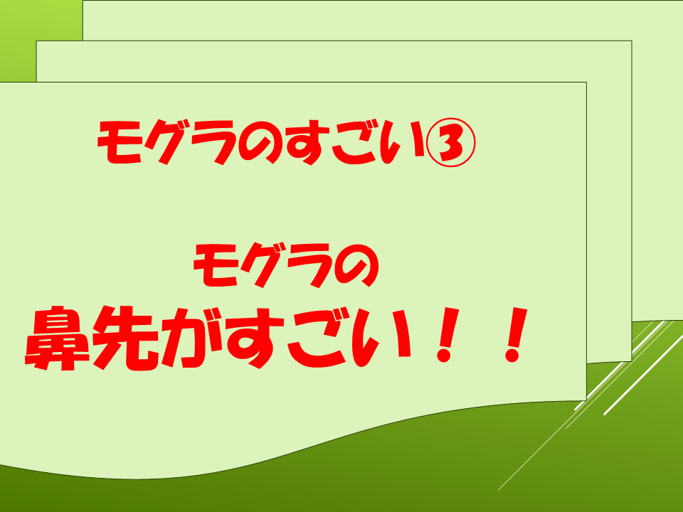 260511モグラはすごい (23).PNG