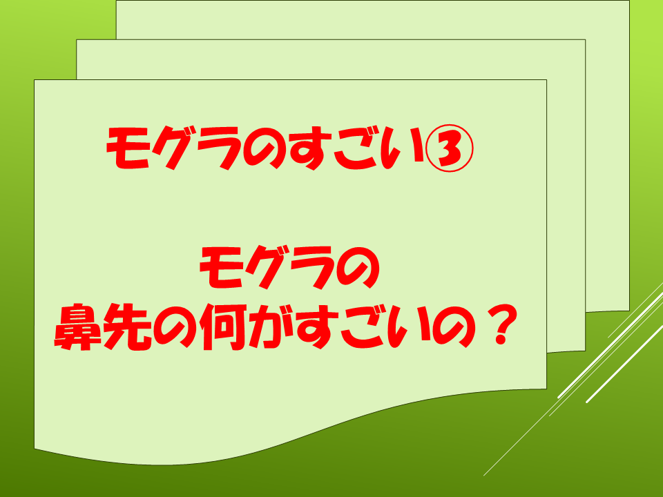 260511モグラはすごい (25).PNG