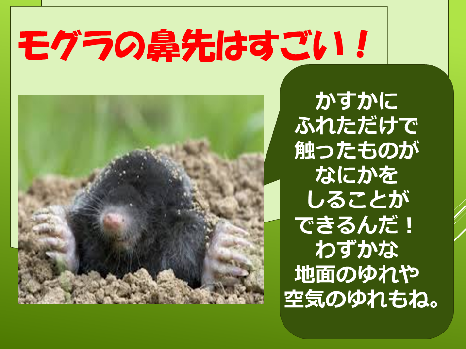 260511モグラはすごい (27).PNG