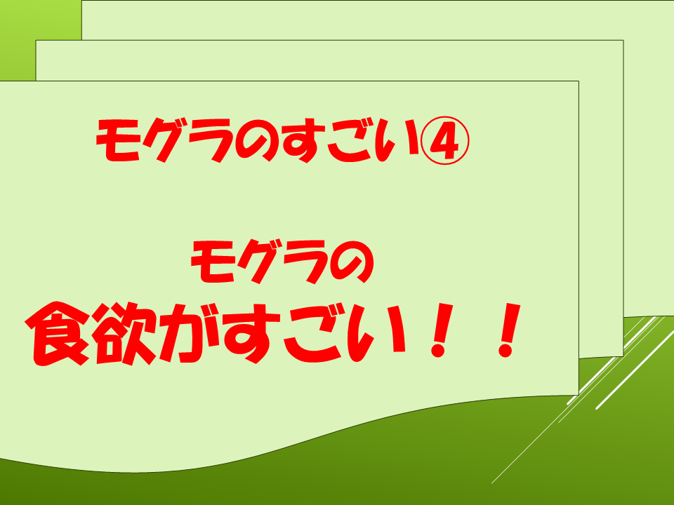 260511モグラはすごい (28).PNG