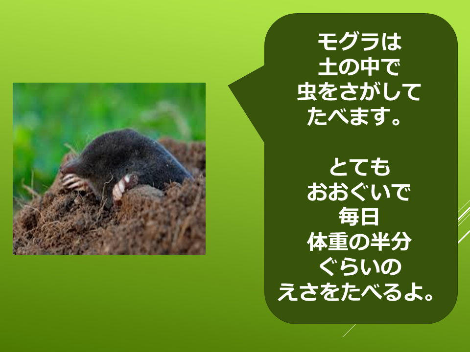 260511モグラはすごい (31).PNG