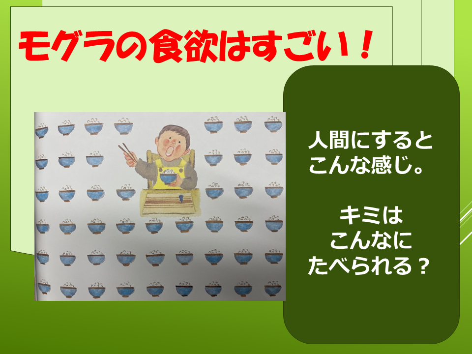 260511モグラはすごい (32).PNG