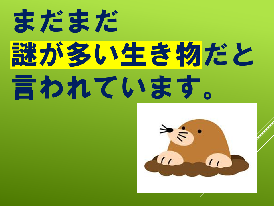 260511モグラはすごい (35).PNG