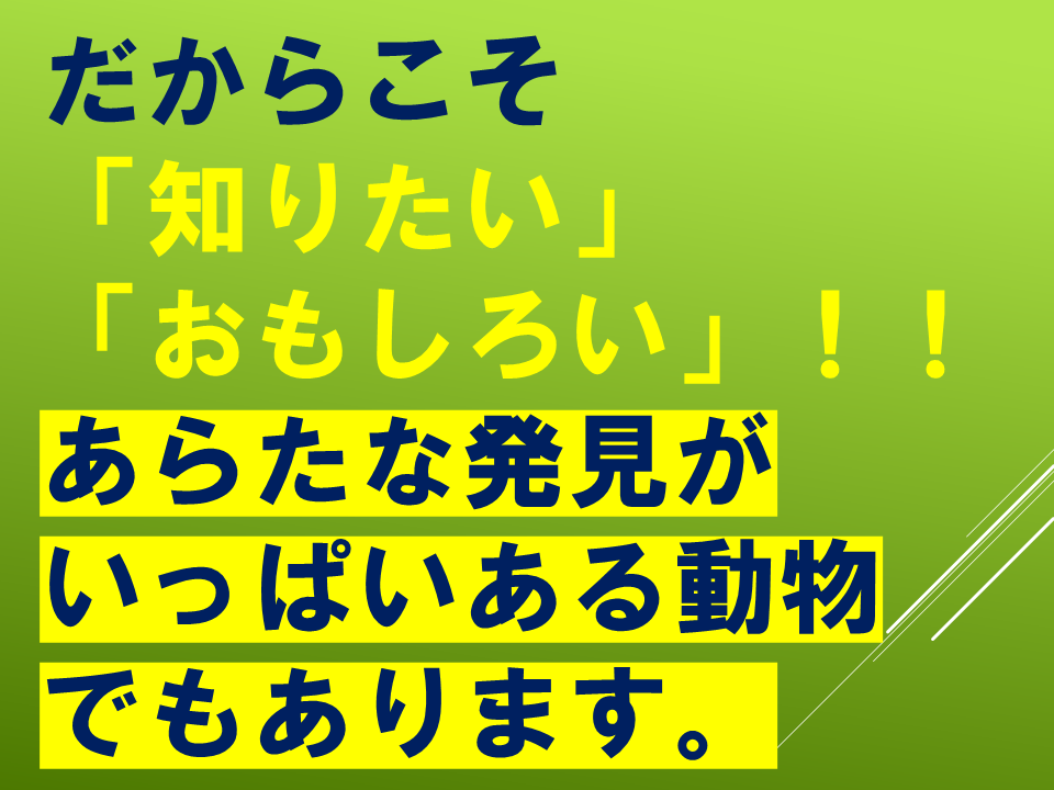 260511モグラはすごい (36).PNG