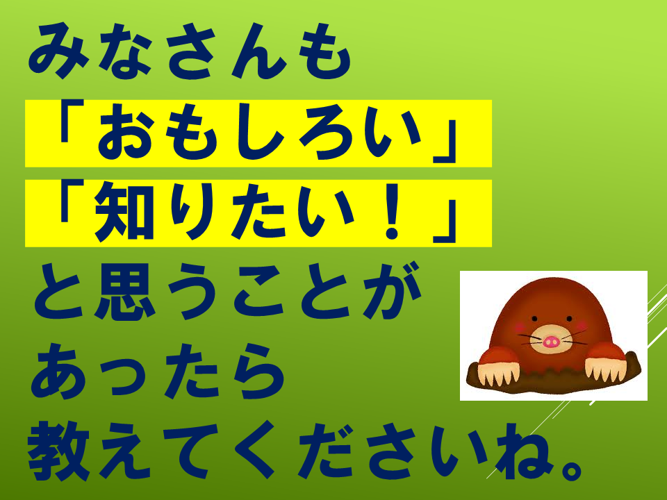 260511モグラはすごい (37).PNG