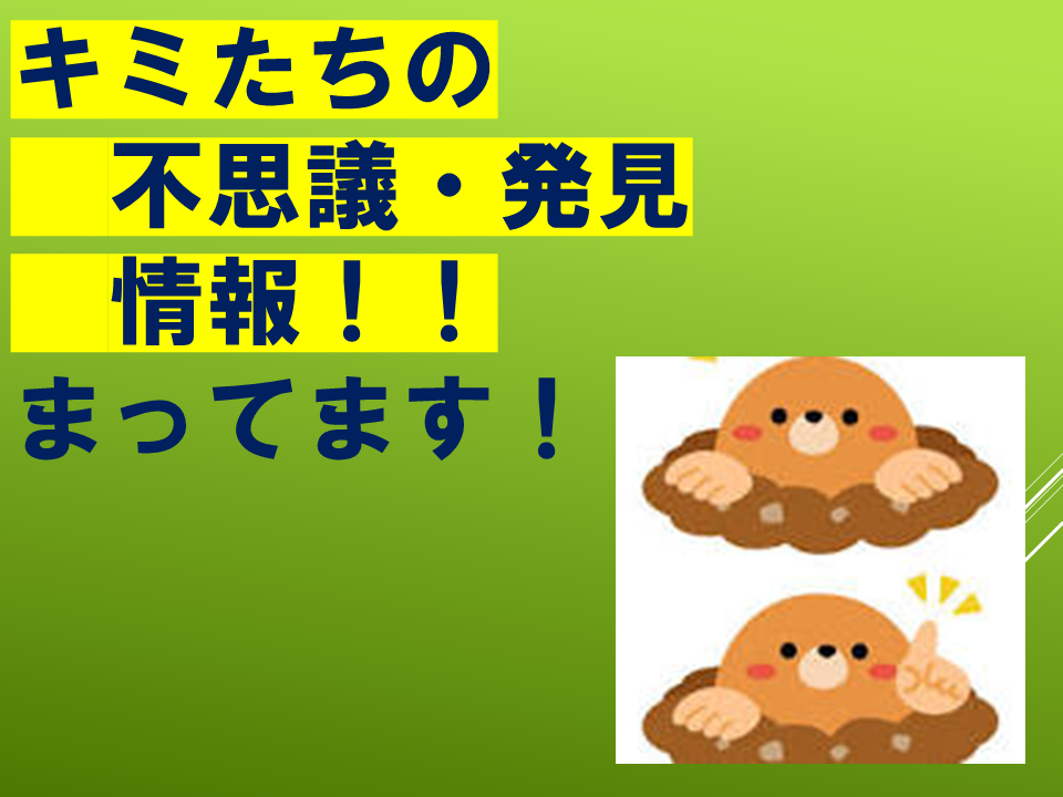 260511モグラはすごい (38).PNG