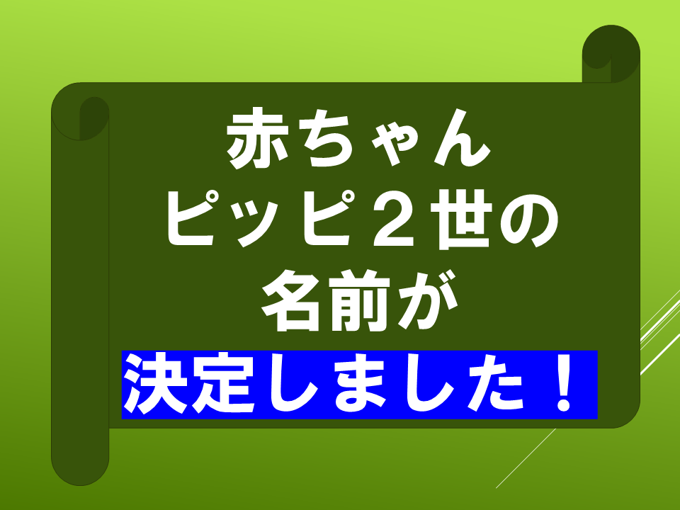 260511モグラはすごい (40).PNG
