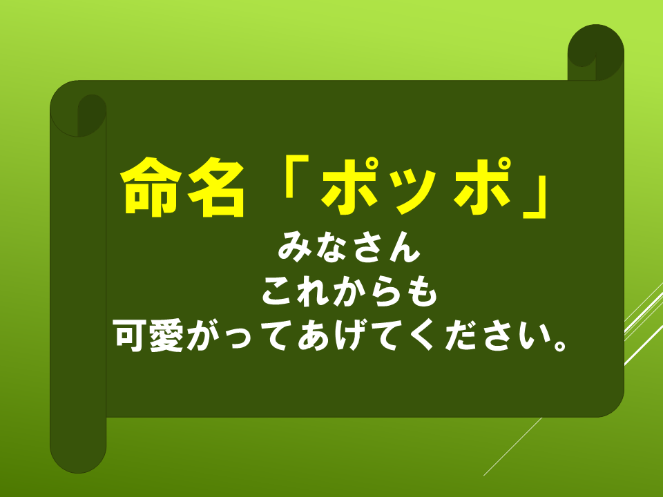 260511モグラはすごい (43).PNG