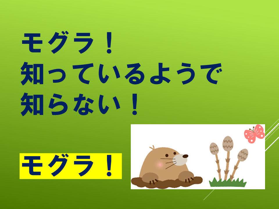 260511モグラはすごい (7).PNG