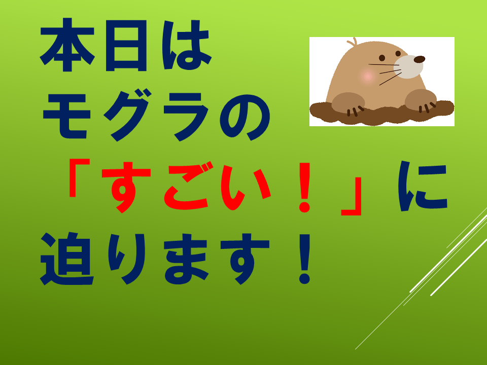 260511モグラはすごい (9).PNG