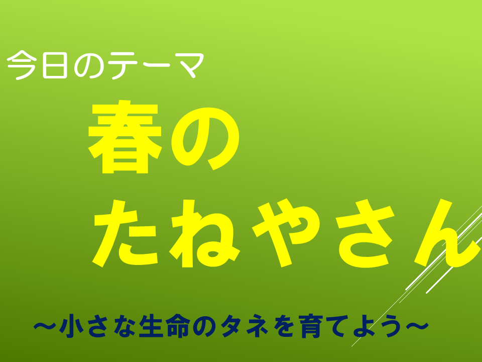 春のたねやさん～小さな生命のタネを育てよう～