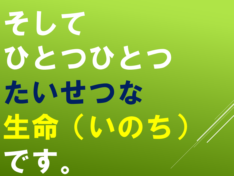 260511春のたねやさん (13).PNG