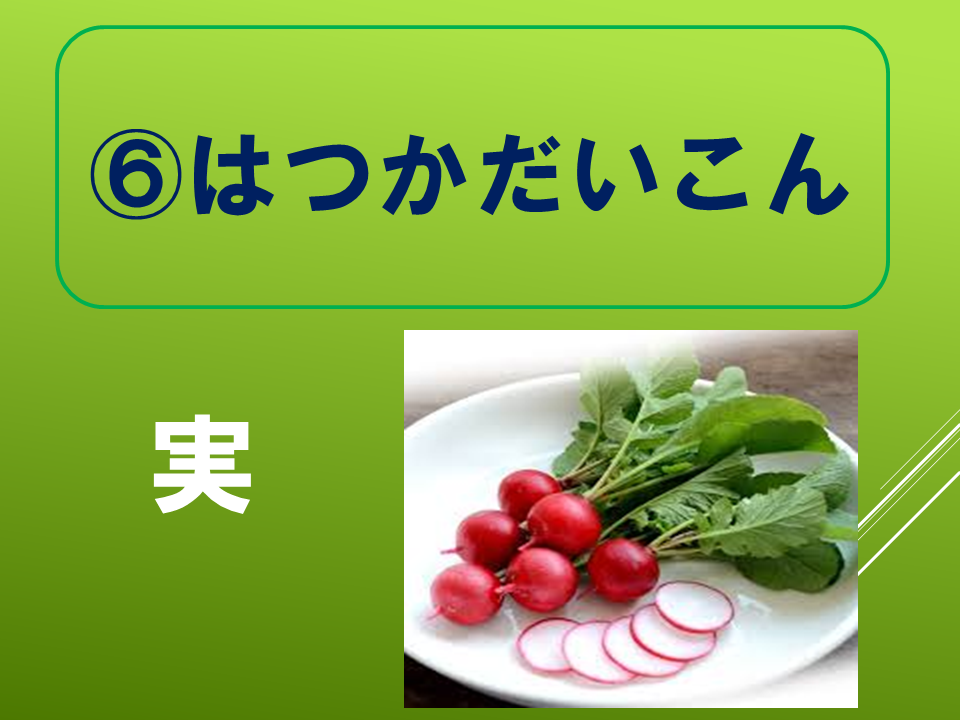 260511春のたねやさん (29).PNG