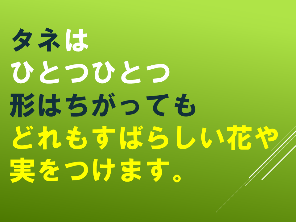 260511春のたねやさん (31).PNG