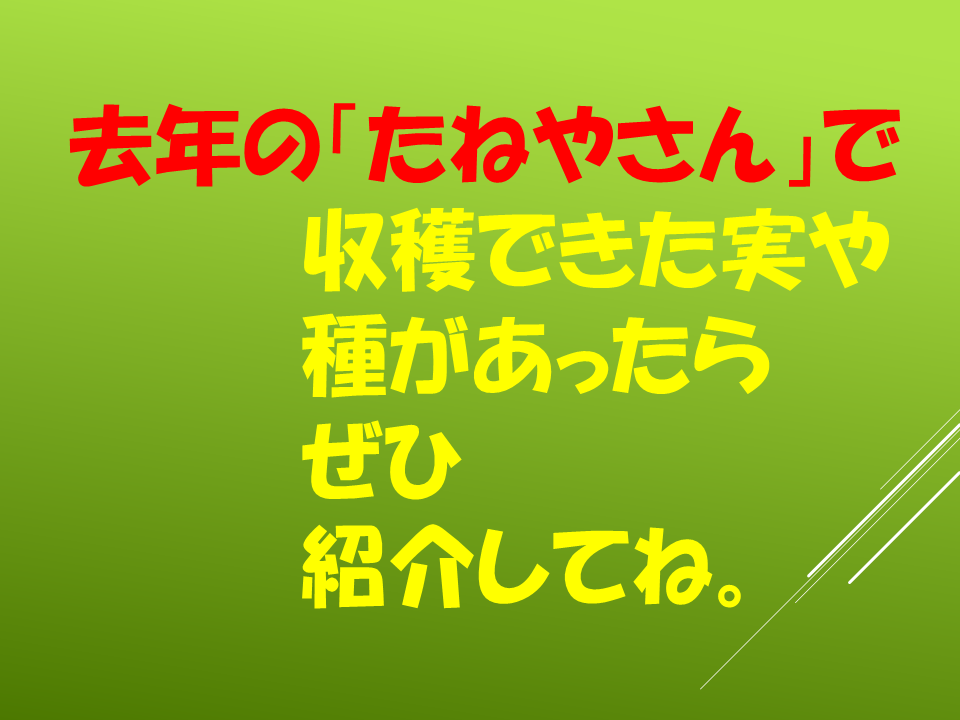 260511春のたねやさん (41).PNG