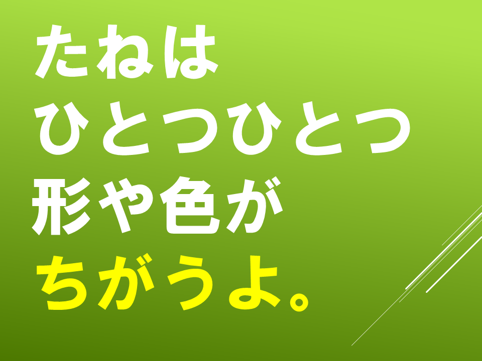 260511春のたねやさん (9).PNG