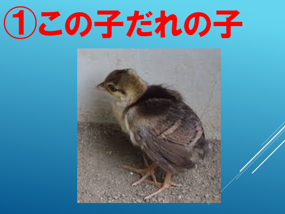 260608 (10).PNG