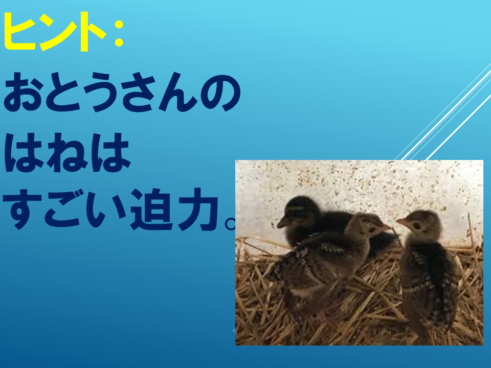 260608 (11).PNG