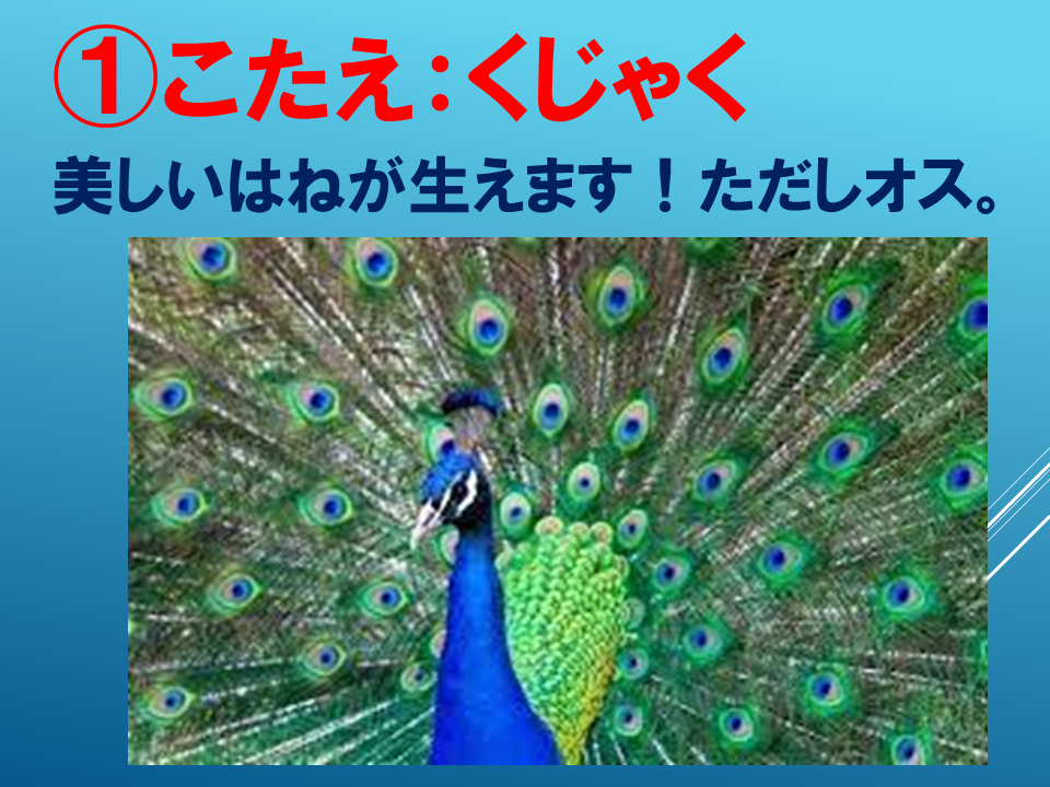 260608 (12).PNG