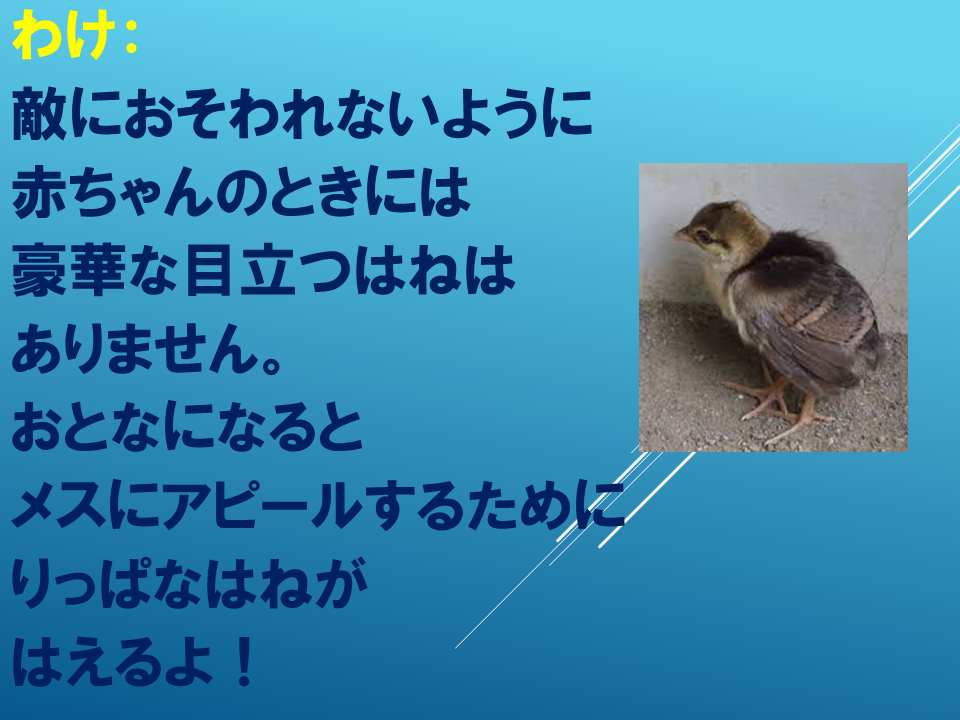 260608 (13).PNG
