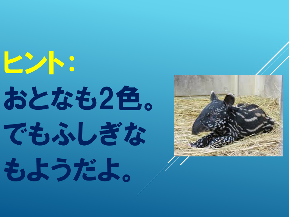 260608 (15).PNG
