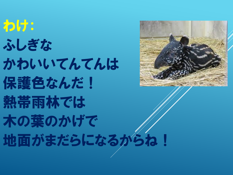 260608 (17).PNG