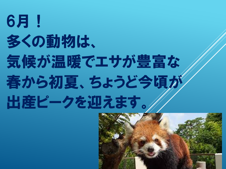 260608 (2).PNG