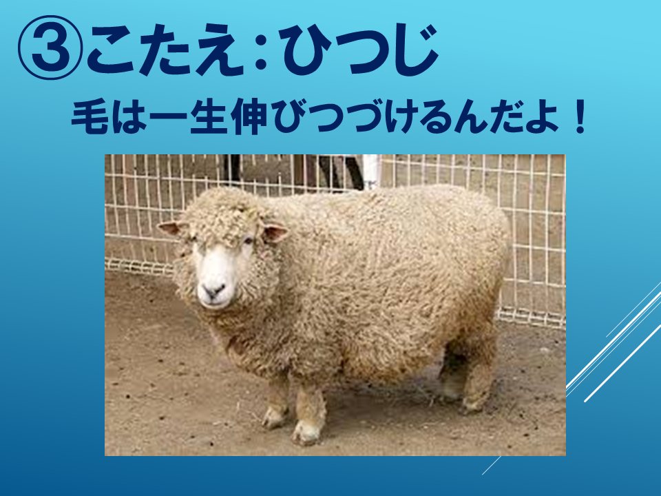 260608 (20).PNG