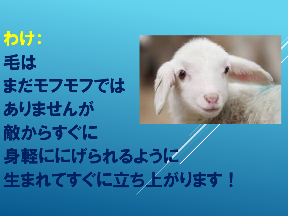 260608 (21).PNG