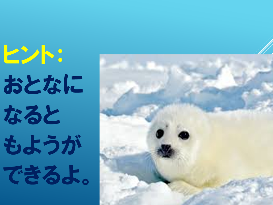 260608 (23).PNG