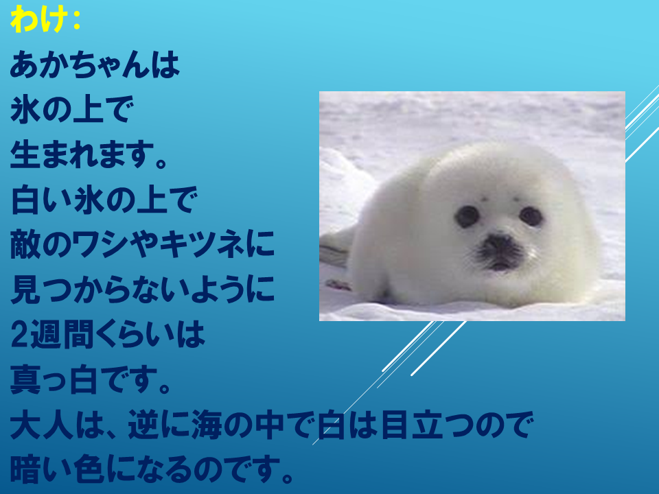 260608 (25).PNG