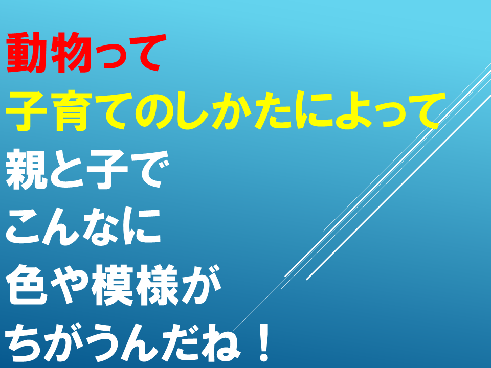260608 (27).PNG