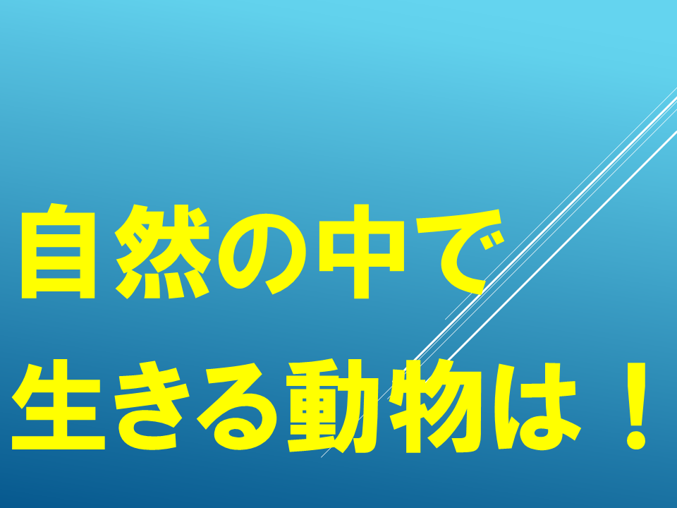 260608 (29).PNG