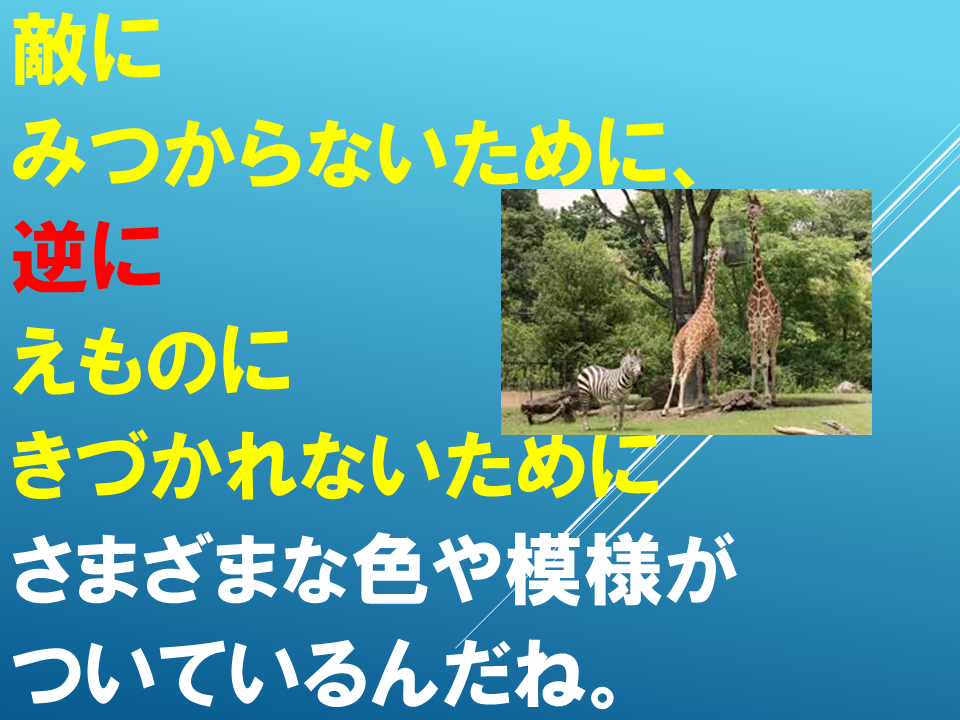 260608 (30).PNG